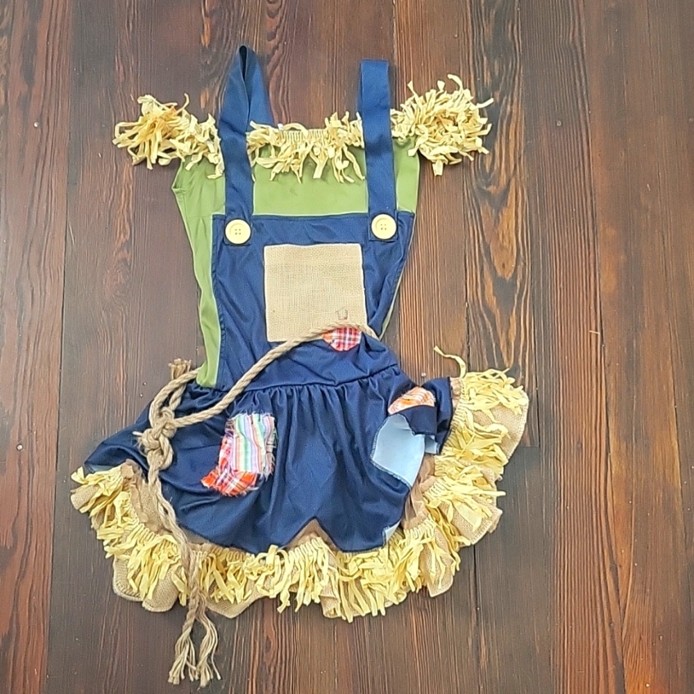 Costume, Scarecrow